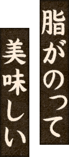 脂がのって美味しい